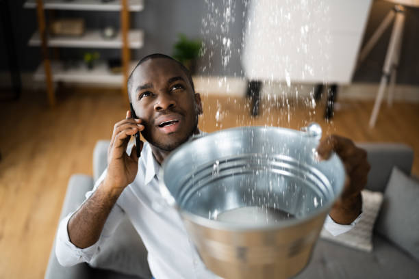 Best Water damage restoration near me  in Porcupine, SD
