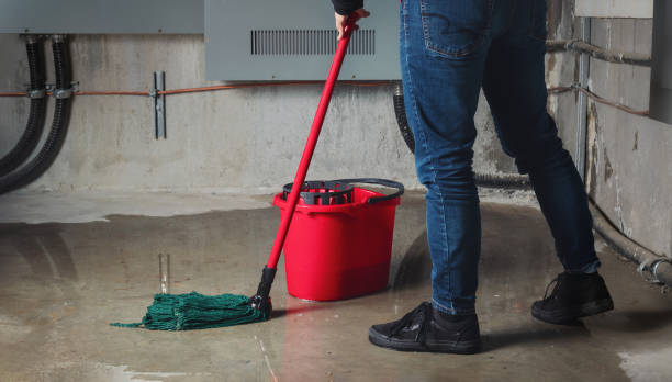 Best Flood restoration services  in Porcupine, SD