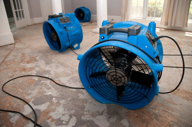 Best Water damage restoration near me  in Porcupine, SD