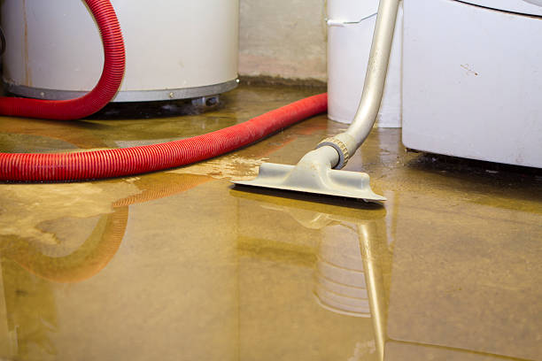 Best 24-hour water damage restoration  in Porcupine, SD
