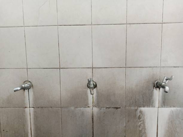 Best Emergency water damage restoration  in Porcupine, SD