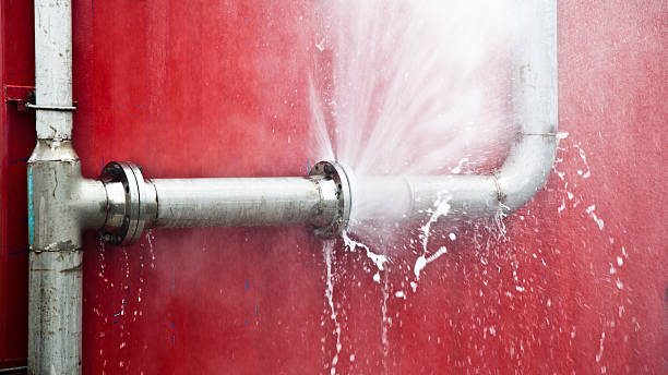 Best Water damage cleanup near me  in Porcupine, SD