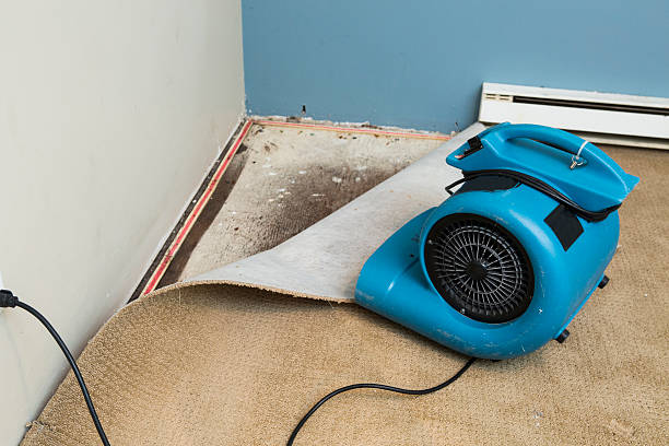 Best Flooded house restoration  in Porcupine, SD